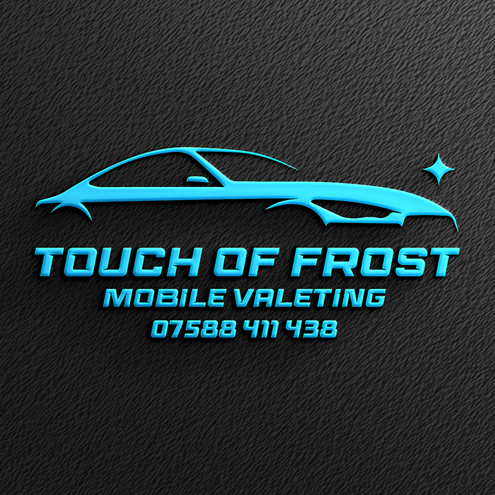 Touch of Frost Logo Design